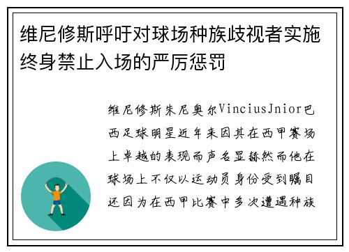 维尼修斯呼吁对球场种族歧视者实施终身禁止入场的严厉惩罚