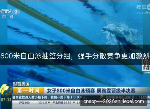 800米自由泳抽签分组，强手分散竞争更加激烈